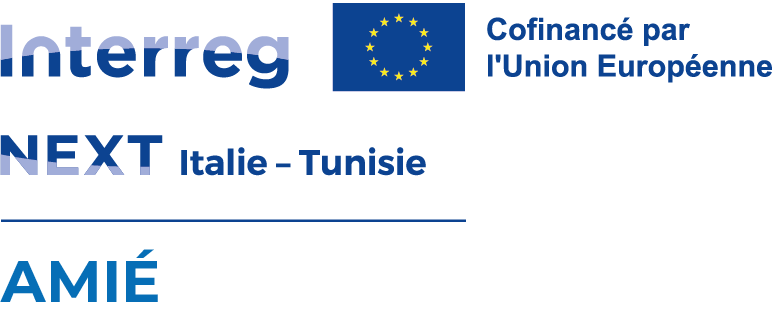 Logo AMIÈ
